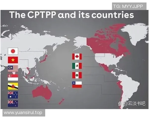 沙特联赛吸引力增强原因